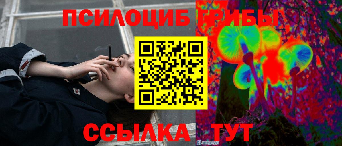 Псилоцибиновые грибы Cubensis Уссурийск